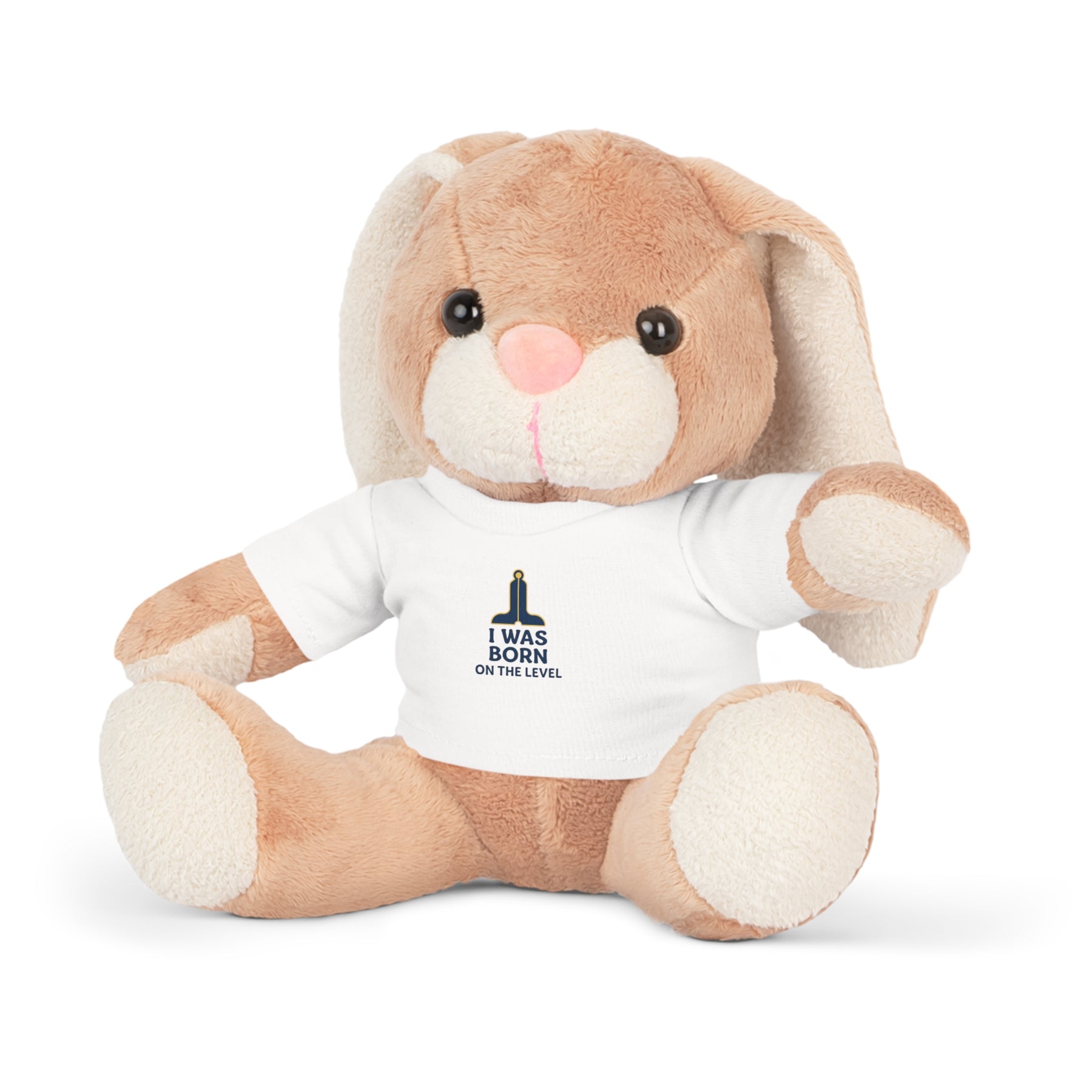 Master Mason Blue Lodge Teddy Bear - I Was Born On the Level 4 Plushies - Bricks Masons